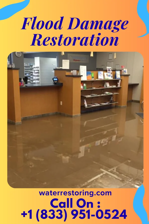 Flood Damage Restoration in Warm Mineral Springs, FL