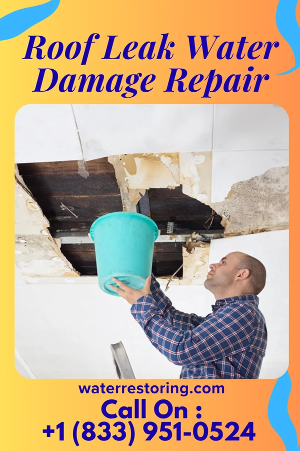 Roof Leak Water Damage Repair in Warm Mineral Springs, FL