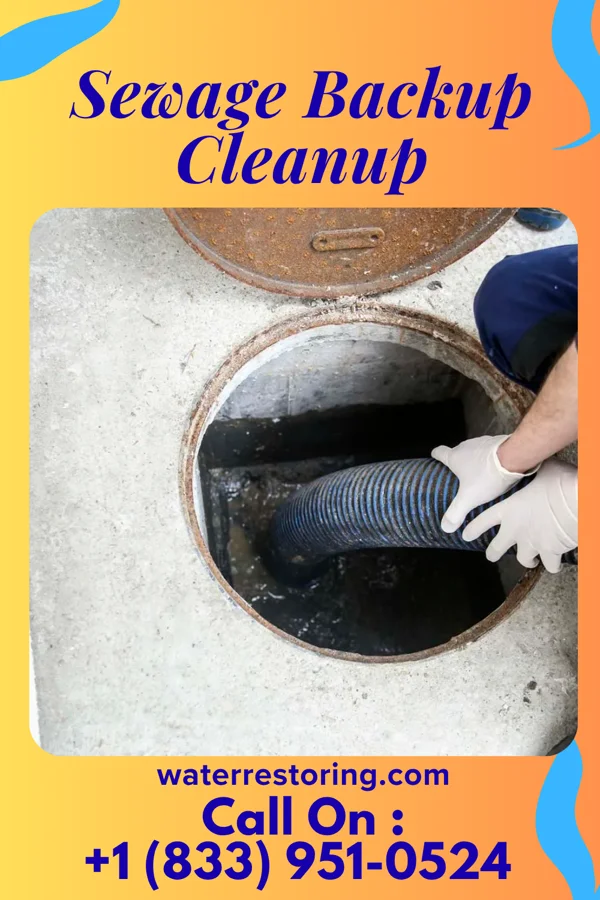 Sewage Backup Cleanup in Warm Mineral Springs, FL
