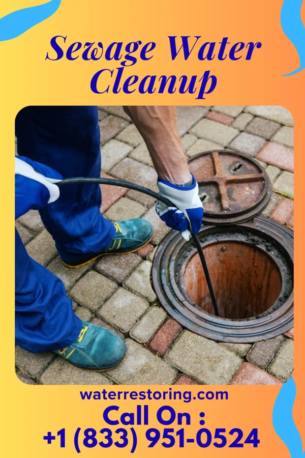 Sewage Water Cleanup in Warm Mineral Springs, FL