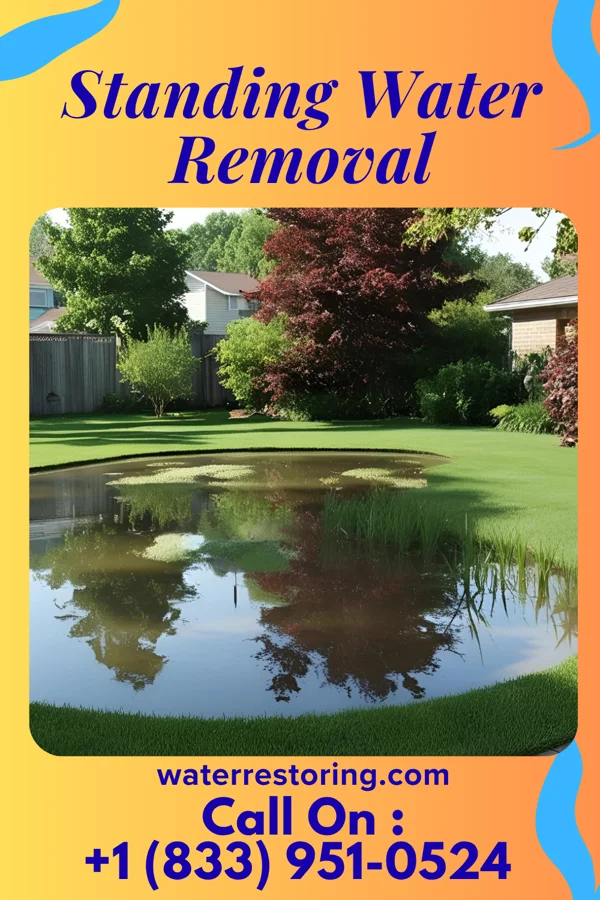 Standing Water Removal in Warm Mineral Springs, FL
